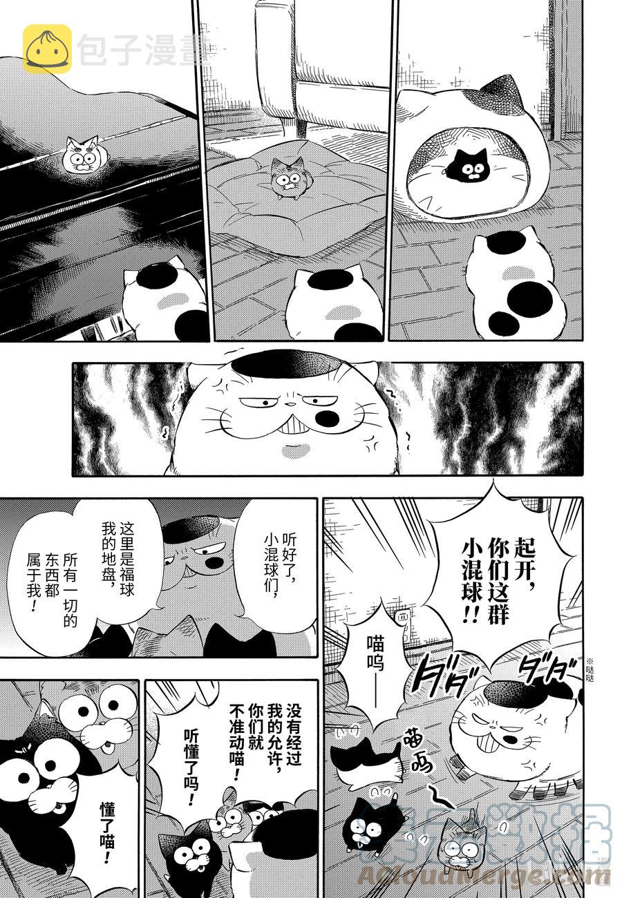 大叔与猫漫画,73 发生紧急情况喵3图