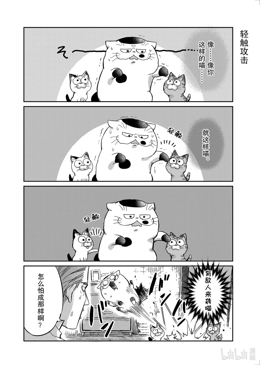 大叔与猫漫画,71.5 番外2图